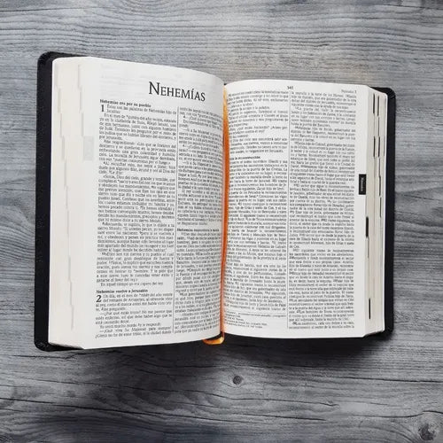 Biblia NVI Tipo Agenda, Imitación Piel, Borde Dorado