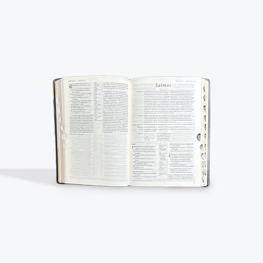 Santa Biblia | RVR 1960 | Letra grande | Ultrafina | SentiPiel con índice | Edición de referencia