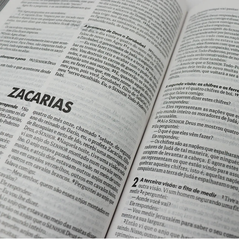 Bíblia Sagrada Vão Pelo Mundo | NTLH | Letra Normal | Capa Dura Ilustrada