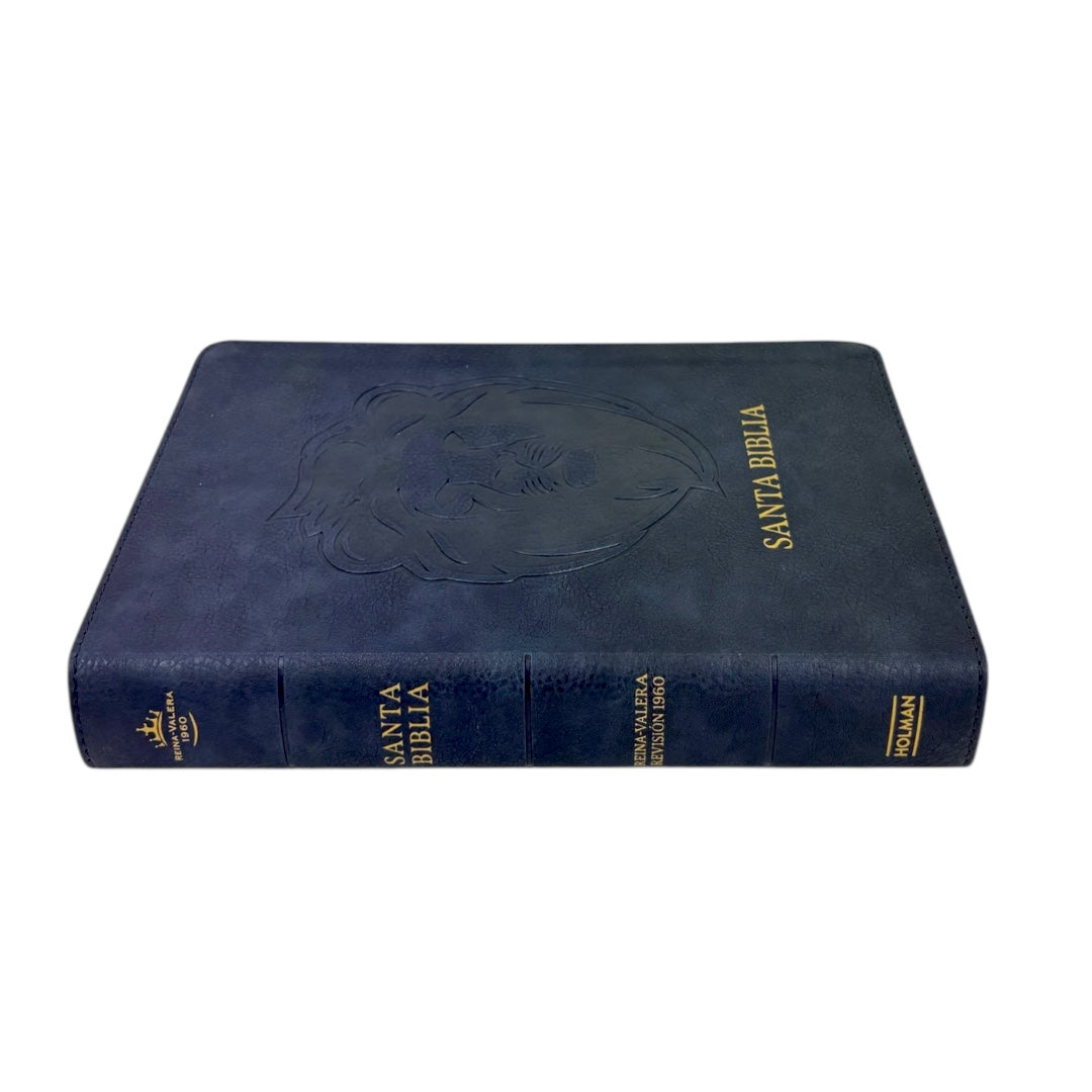 Biblia Reina Valera 1960 | Letra grande 12 pts | Tamaño manual | León ceniza | Español