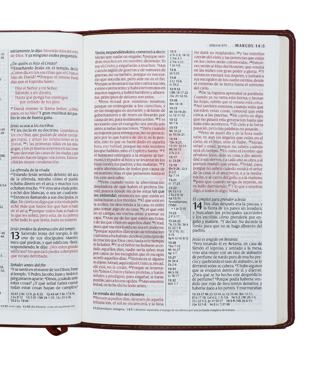 Santa Biblia | RVR 1960 | Ultrafina | Letra grande 10 pts | Imitación piel café rojizo