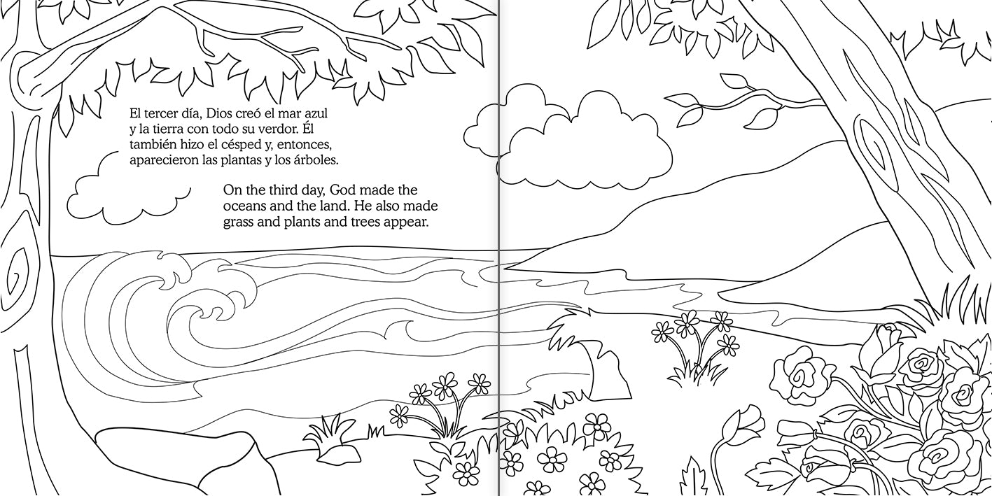 Creación y el Pequeño Dador — Libro para Colorear