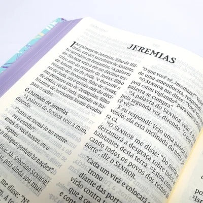 Bíblia Leitura Perfeita NVI | Letra Gigante | Raminhos