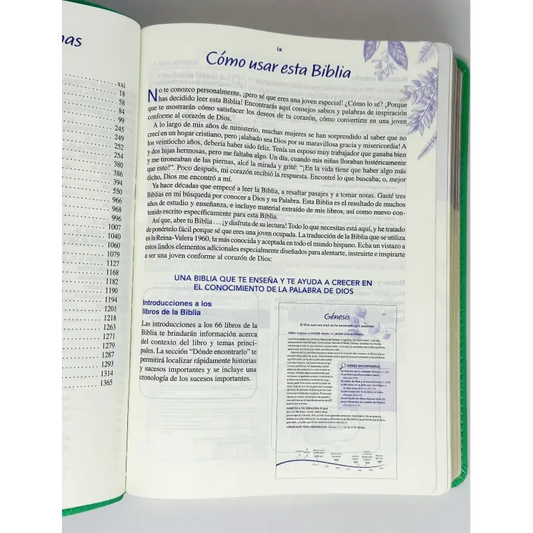 Biblia de una joven conforme al corazón de Dios | Verde | Devocional