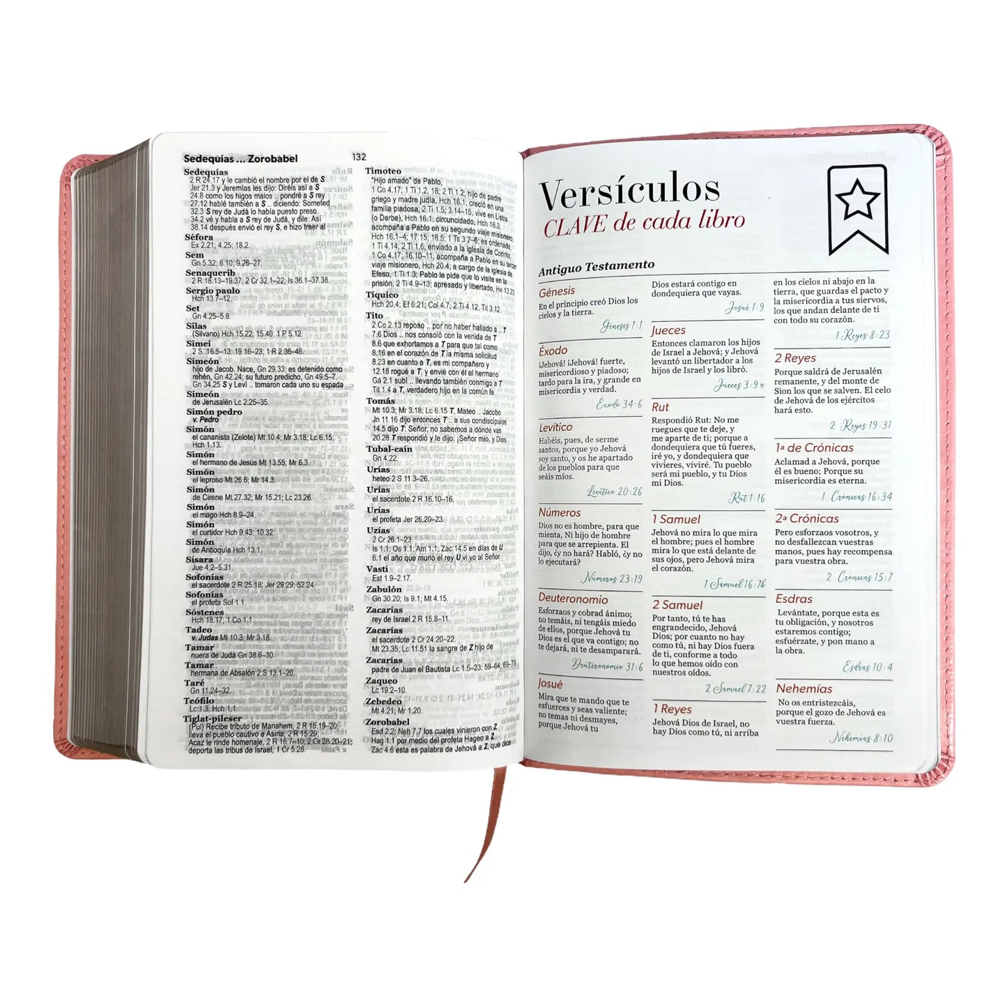 Biblia Reina Valera 1960 | Tamaño manual | Letra grande 12 pts | Imitación piel rosa claro | Colección clásica