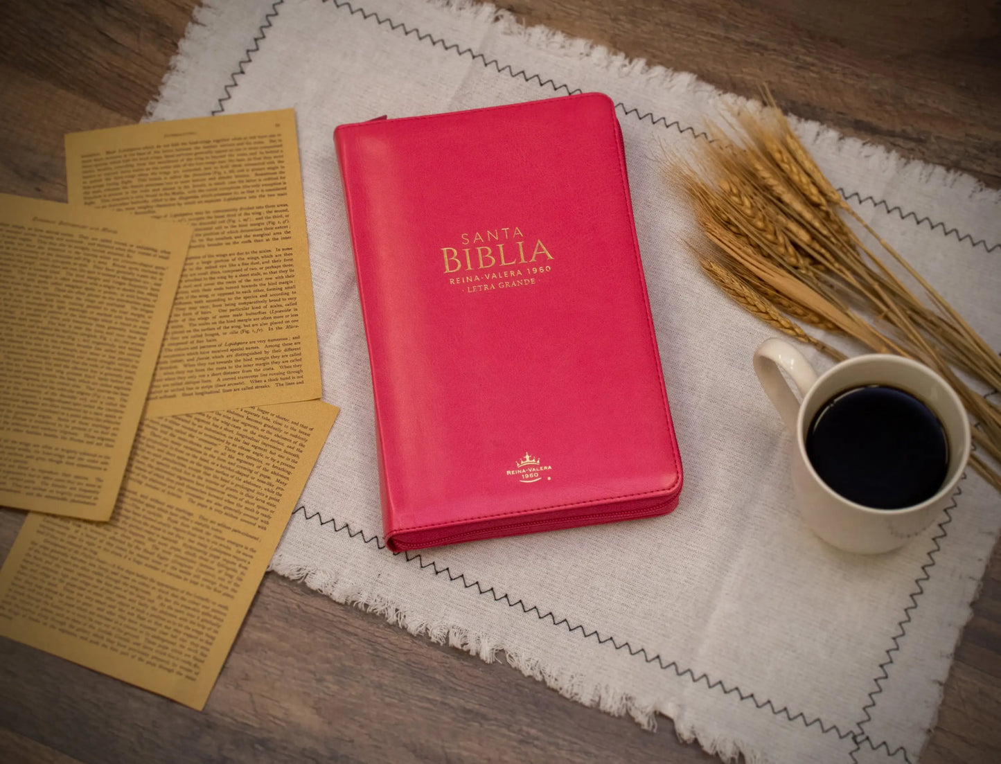 Biblia Reina Valera 1960 | Letra grande 12 pts | Tamaño manual | Imitación piel con índice y cierre | Canto dorado