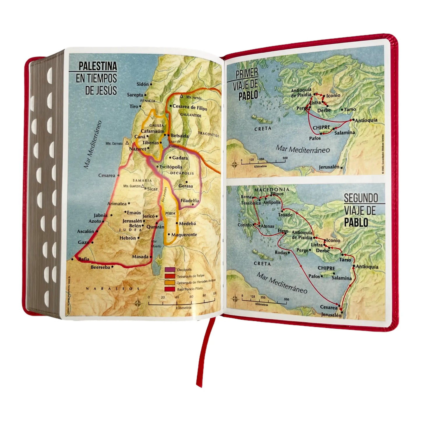 Biblia Reina Valera 1960 | Tamaño manual | Letra grande 12 pts | Imitación piel rosa oscuro | Colección clásica