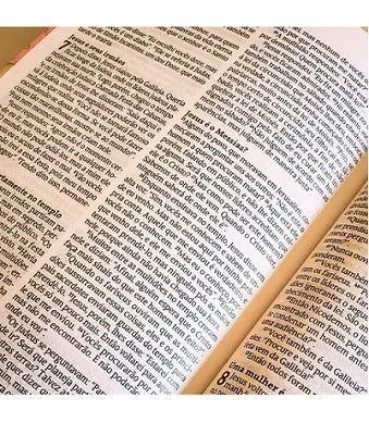 Bíblia Sagrada Mulher Virtuosa | NVT | Letra Normal | Capa Dura Flores