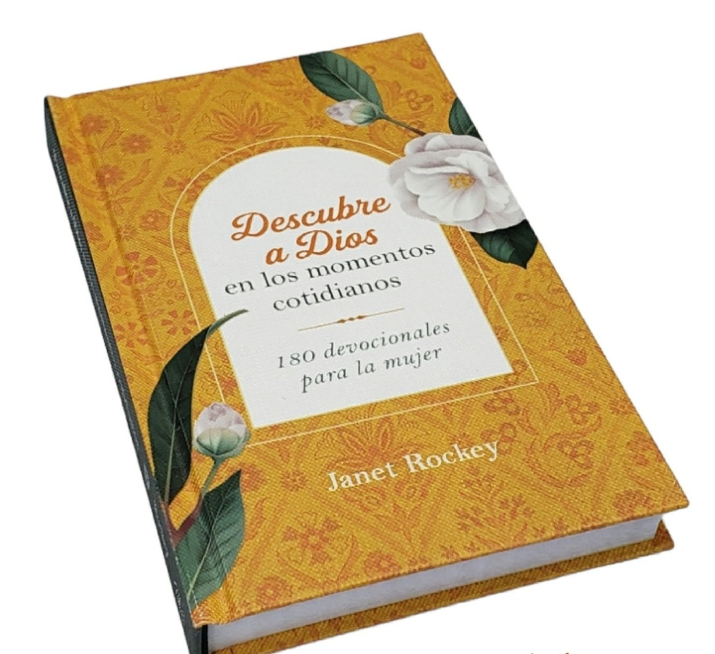 Descubre a Dios en los momentos cotidianos | Janet Rockey – Devocional diario para mujeres
