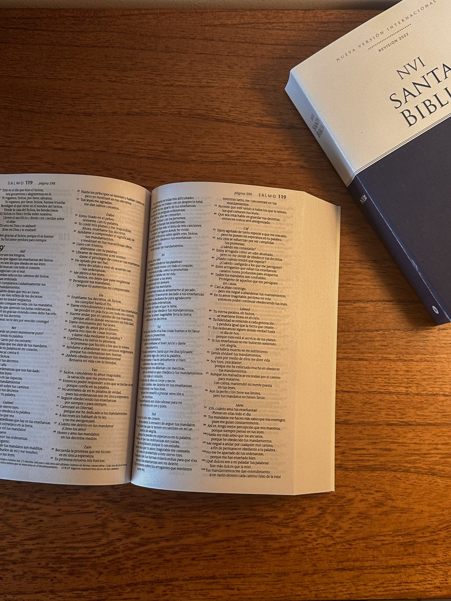 Biblia completa | NTV | Diseño Ñandutí | Edición limitada