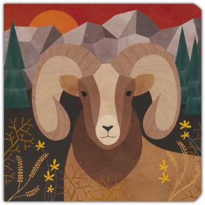 Desde el Edén | Libro ilustrado infantil | Tapa dura | 1–3 años