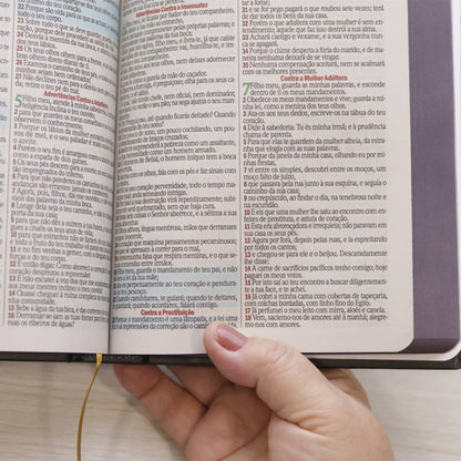 Bíblia Sagrada Bom Pastor | ARC | Letra Maior | Harpa e Corinhos | Capa Dura