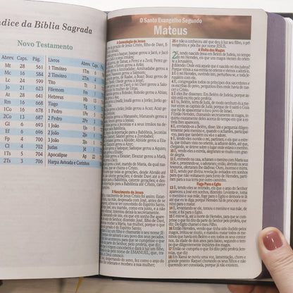 Bíblia Sagrada Ide | ARC | Letra Maior | Harpa e Corinhos | Capa Dura