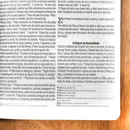 Bíblia Sagrada Lettering | NVI | Letra Normal | Capa Brochura