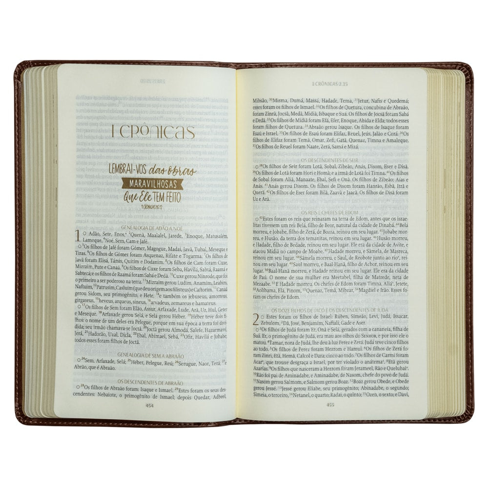 Bíblia The Purpose Book | A21 | Capa Couro Soft Marrom Paisagem