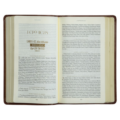 Bíblia The Purpose Book | A21 | Capa Couro Soft Marrom Paisagem