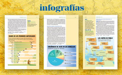Biblia Visual de Estudio para Niños | NBLA | Tapa dura | Más de 700 ilustraciones