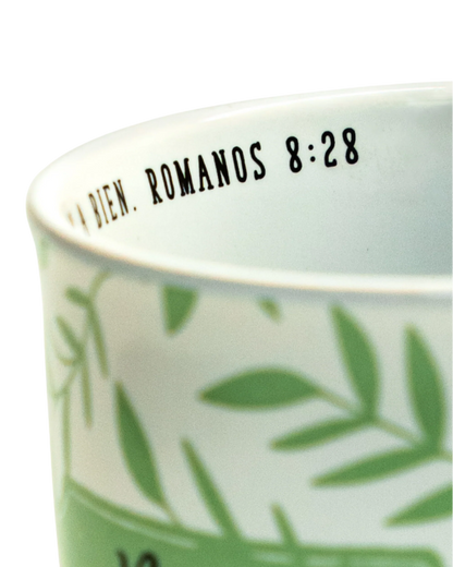 TAZA: Nunca te Rindas