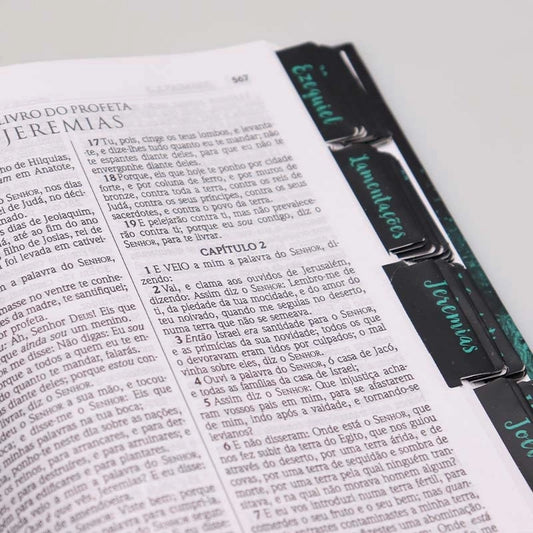 Jornada com Deus Através das Escrituras | Leão Azul | + adesivos