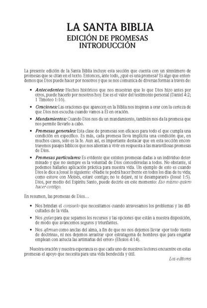 Santa Biblia de Promesas | RVR1960 | Letra Grande | Tamaño Manual con  Cierre  | Gris
