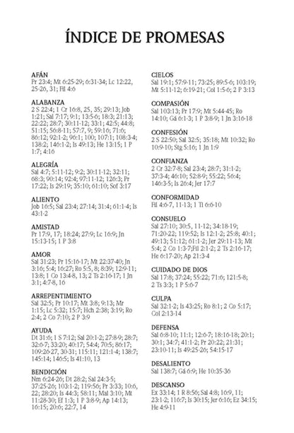 Santa Biblia de Promesas | RVR1960 | Letra Grande | Tamaño Manual con  Cierre  | Gris