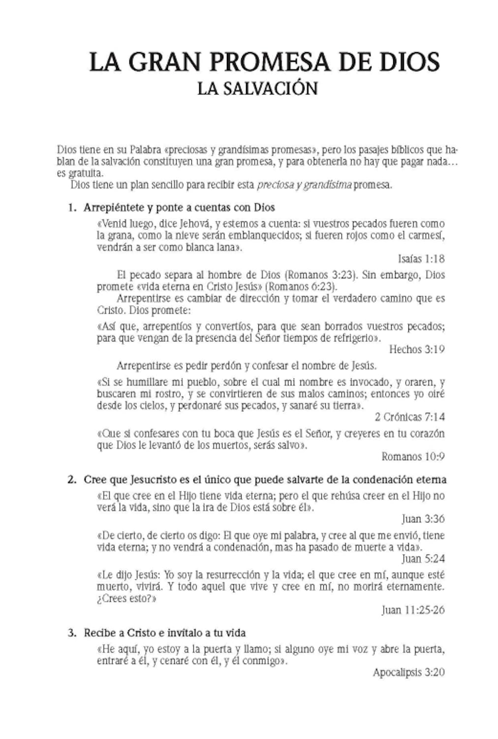 Santa Biblia de Promesas | RVR1960 | Letra Grande | Tamaño Manual con  Cierre  | Gris