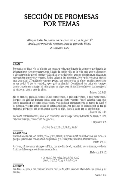 Santa Biblia de Promesas | RVR1960 | Letra Grande | Tamaño Manual con  Cierre  | Gris