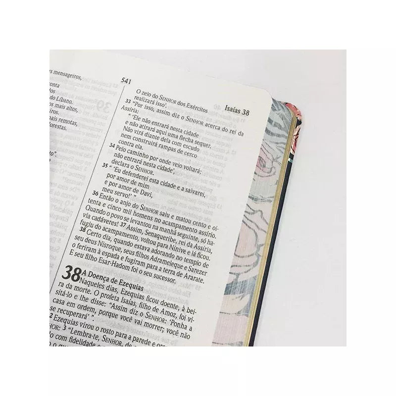 Bíblia Sagrada | NVI | Letra Normal | Capa Rosas Especial