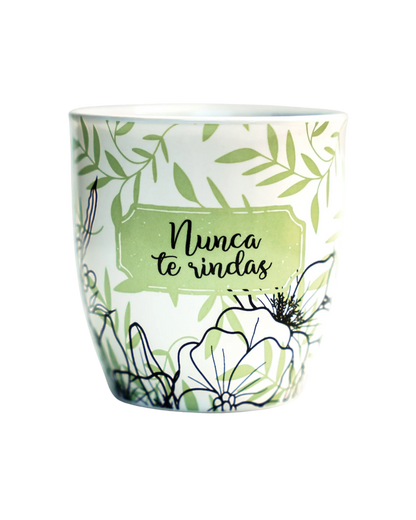 TAZA: Nunca te Rindas