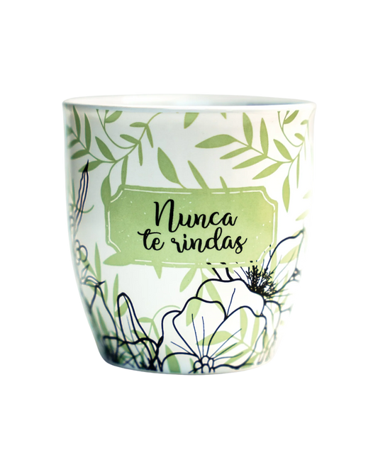 TAZA: Nunca te Rindas