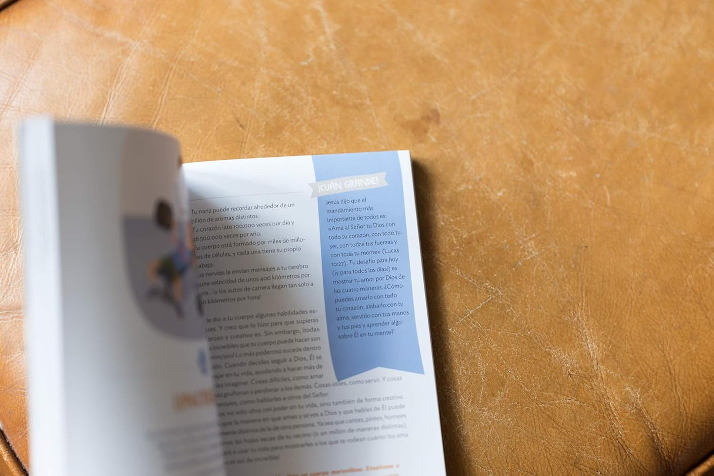 ¡Cuán grande es nuestro Dios! | 100 Devocionales indescriptibles acerca de Dios y la ciencia | Tapa blanda | Ilustrado