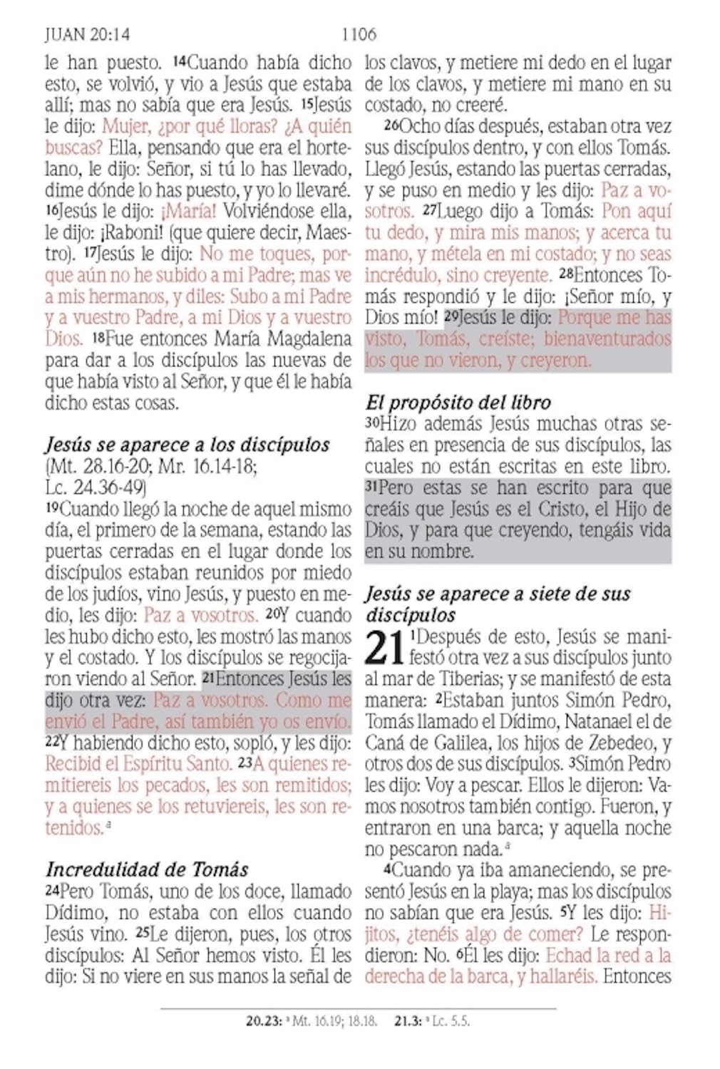 Santa Biblia de Promesas | RVR1960 | Letra Grande | Tamaño Manual con  Cierre  | Gris