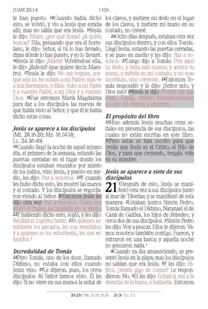 Santa Biblia de Promesas | RVR1960 | Letra Grande | Tamaño Manual con  Cierre  | Gris