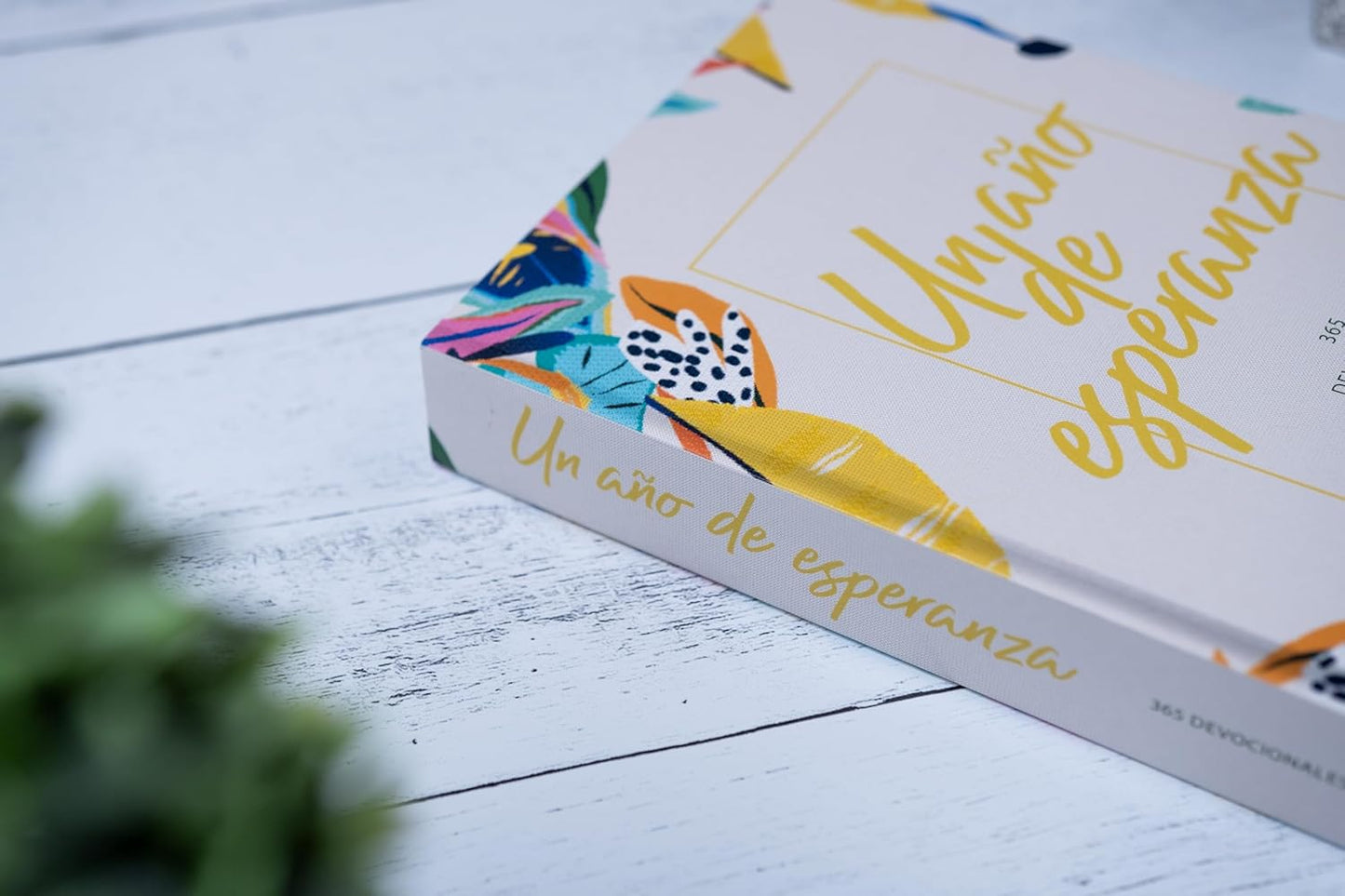 Un año de esperanza | Tapa dura