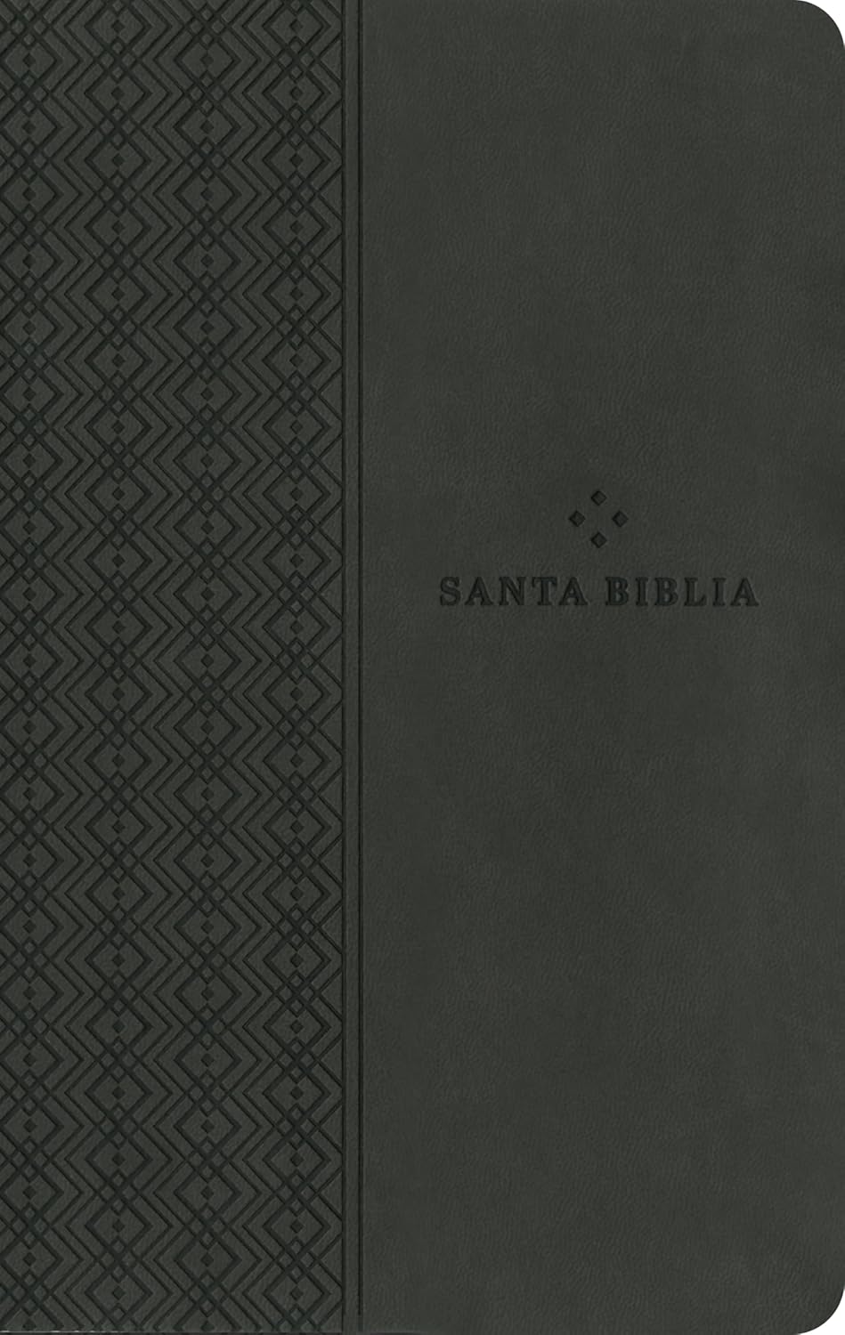 Biblia | NTV | Filament | SentiPiel gris