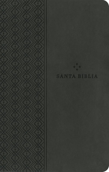 Biblia | NTV | Filament | SentiPiel gris