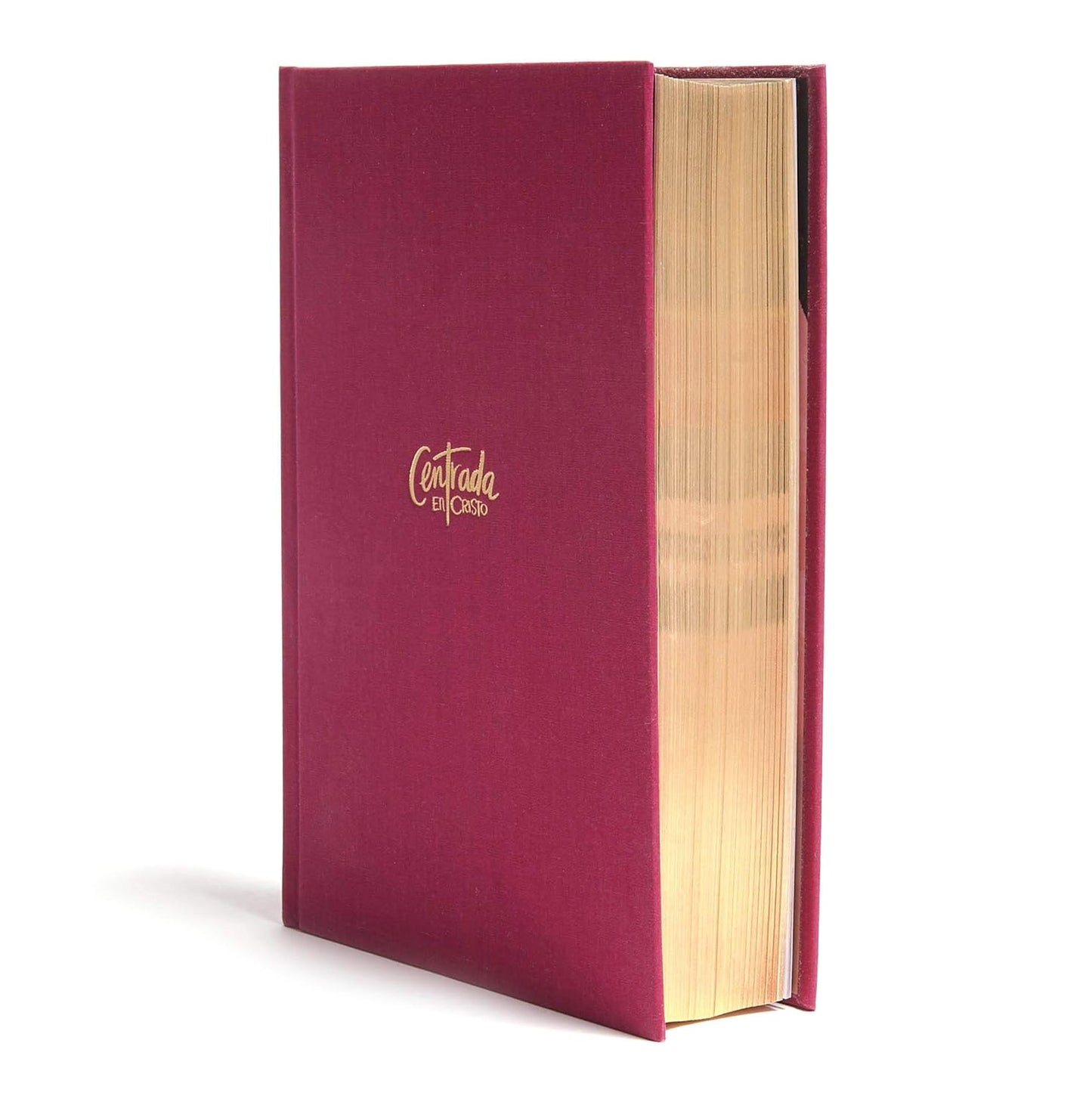 Biblia devocional para mujeres | RVR 1960 | Centrada en Cristo | Tapa dura granada | Letra 9.5 pts | 365 devocionales