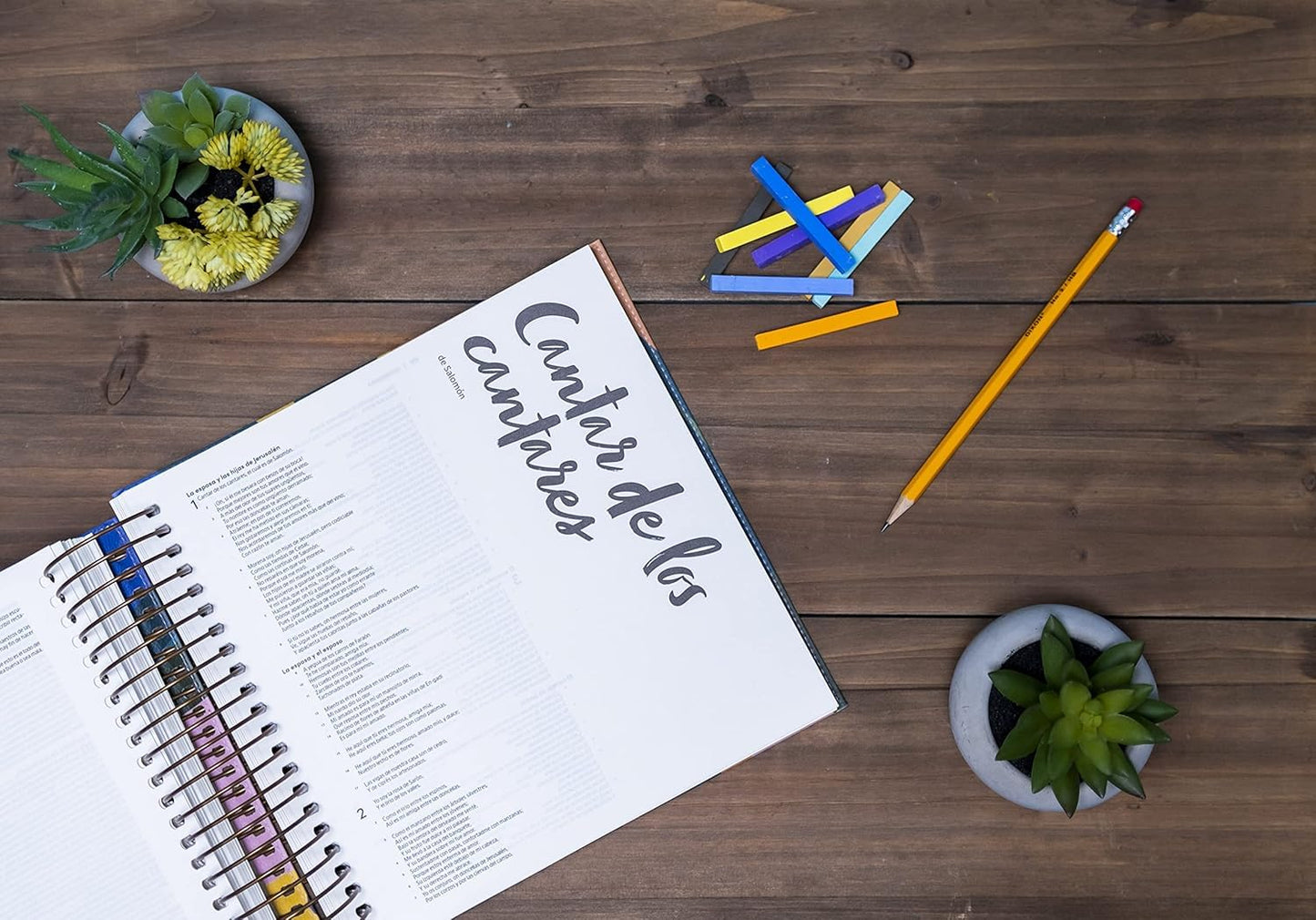 Biblia para ilustrar | Reina Valera 1960 | Símil piel floral | Margen creativo | Espiral metálico