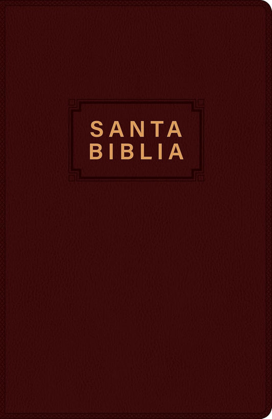 Biblia Sagrada | NTV | ViniPiel vino tinto | Letra roja | Español