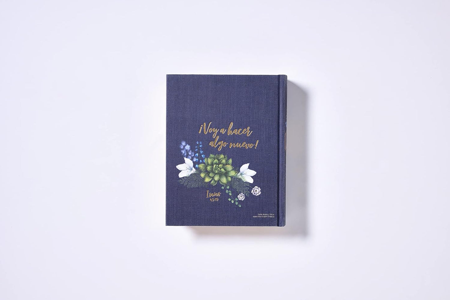 Santa Biblia | NVI | Edición Artística