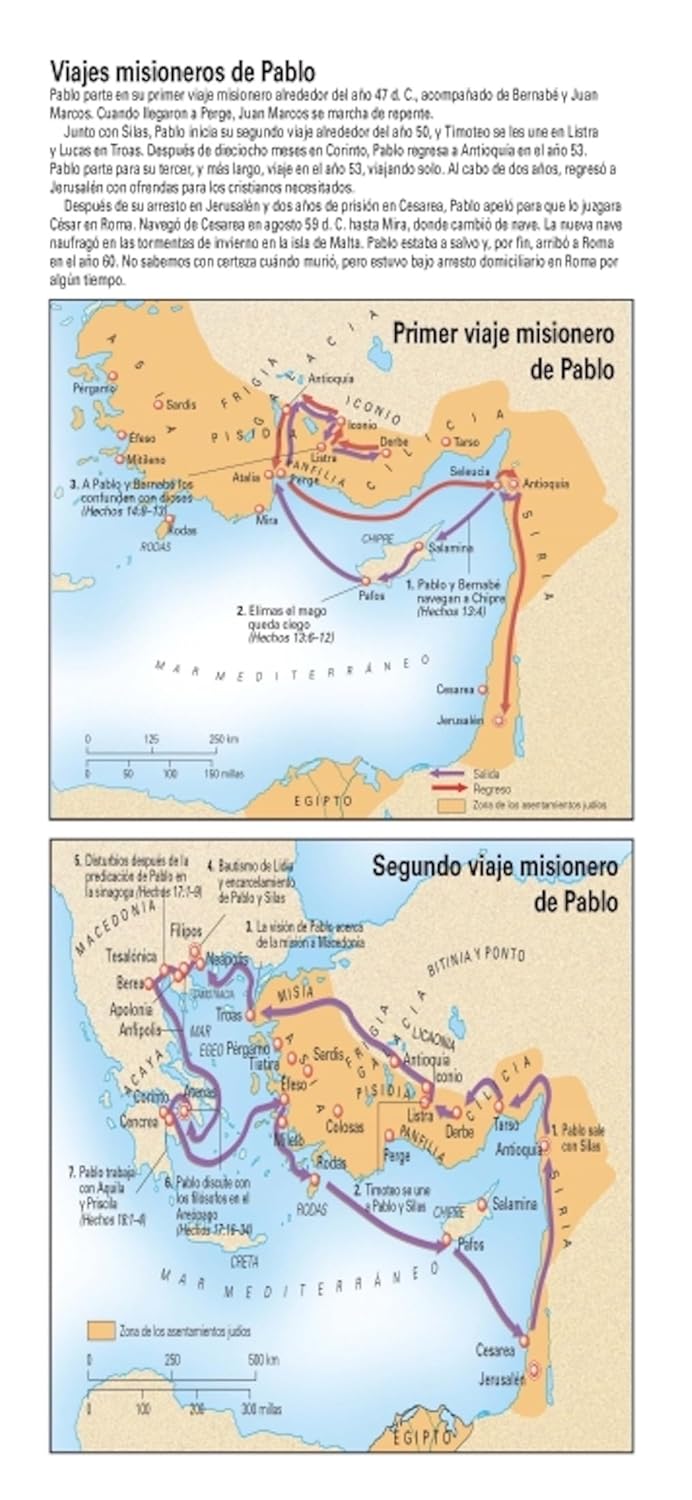 Santa Biblia de Promesas | RVR1960 | Letra Grande | Tamaño Manual con  Cierre  | Gris
