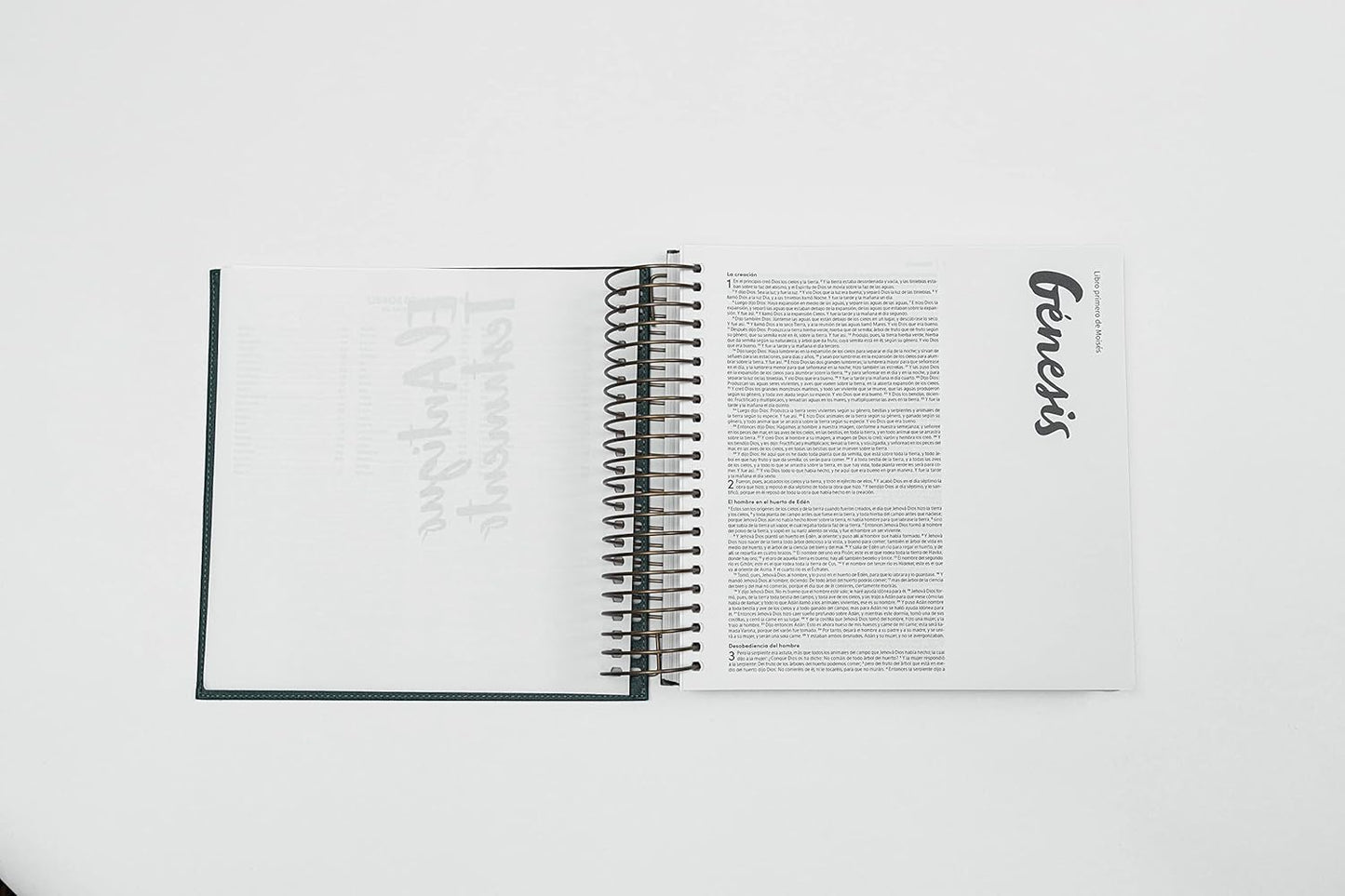 Biblia para ilustrar | Reina Valera 1960 | Símil piel verde | Margen creativo | Espiral metálico | Español