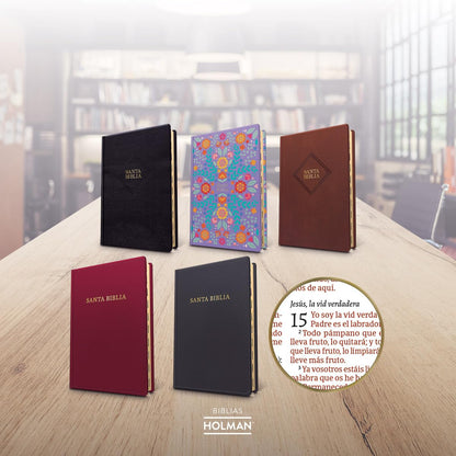 Santa Biblia | RVR 1960 | Letra gigante | Negro | Imitación piel | Con índice