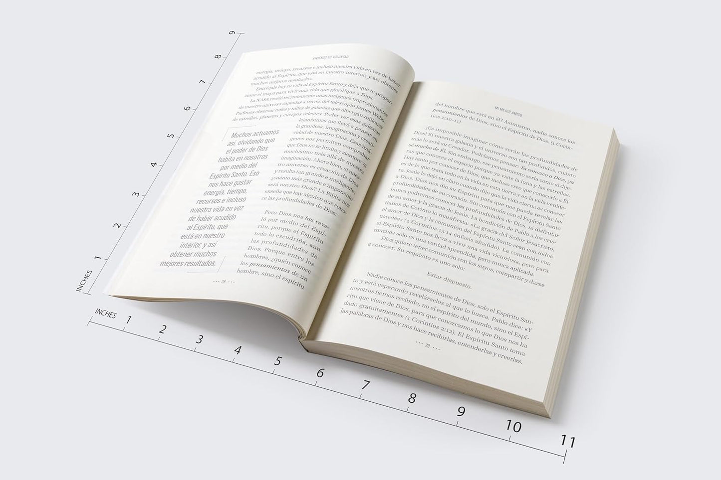 Viviendo Su voluntad |  Sebastián Franz