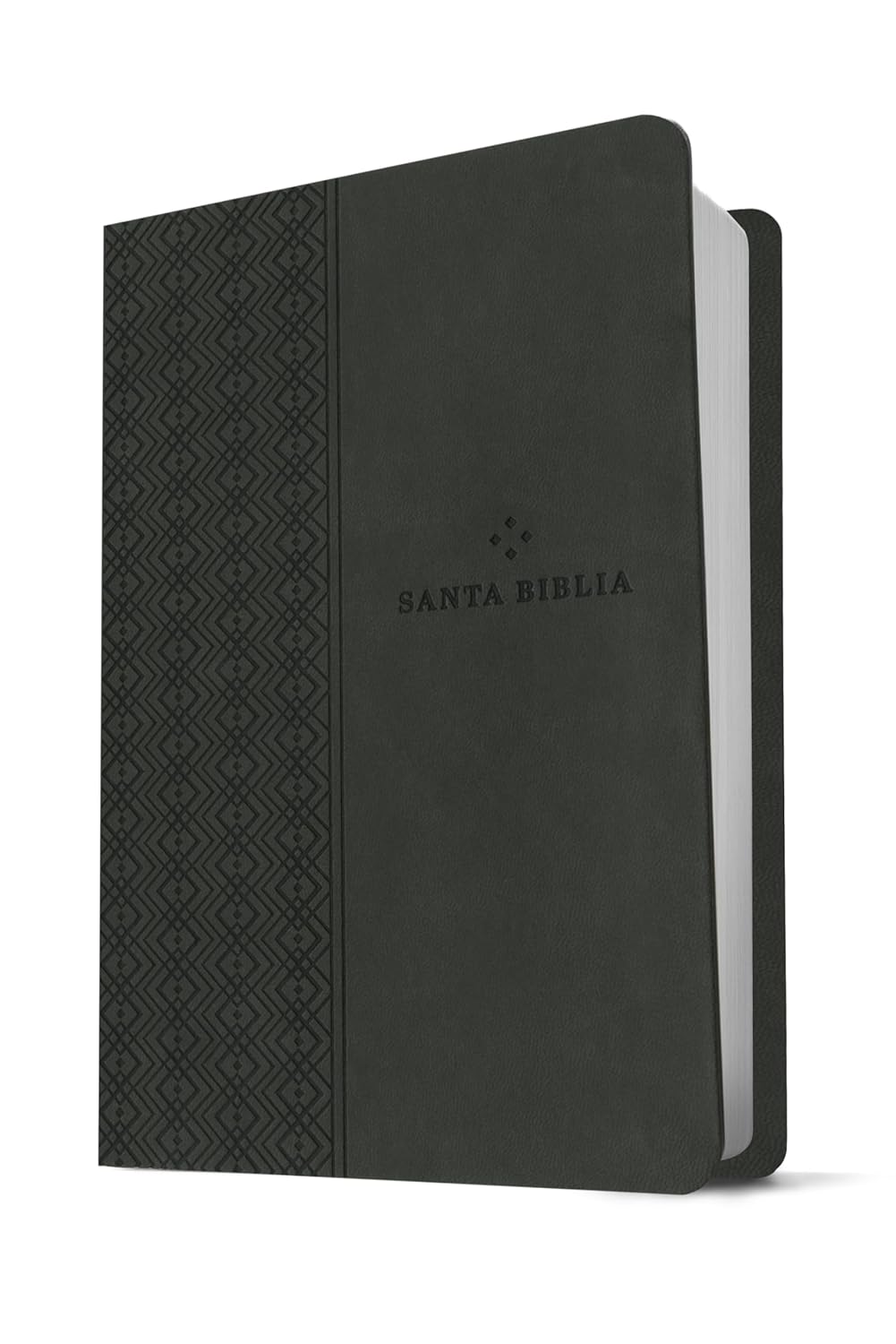 Biblia | NTV | Filament | SentiPiel gris