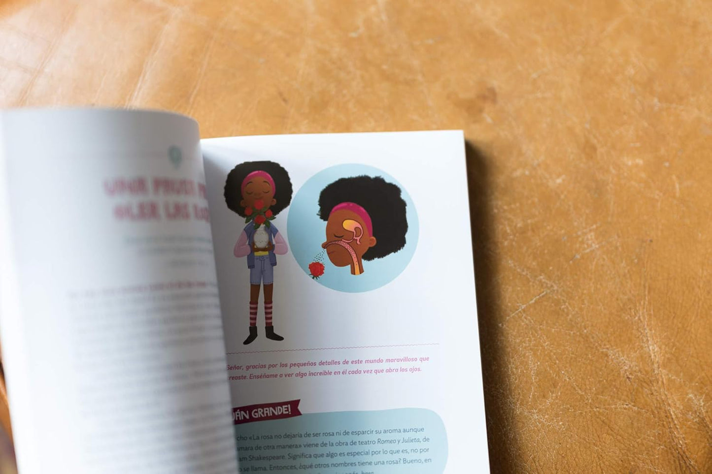 ¡Cuán grande es nuestro Dios! | 100 Devocionales indescriptibles acerca de Dios y la ciencia | Tapa blanda | Ilustrado