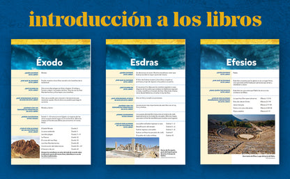Biblia Visual de Estudio para Niños | NBLA | Tapa dura | Más de 700 ilustraciones