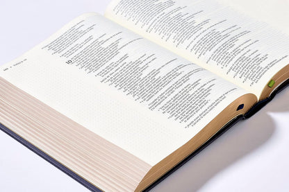 Santa Biblia | NVI | Edición Artística