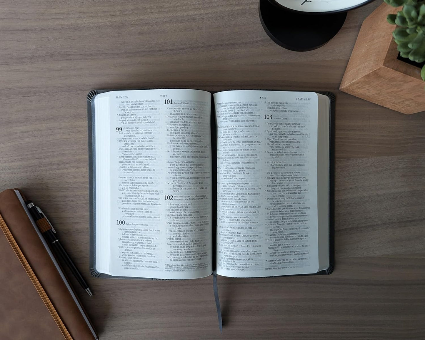 Biblia | NTV | Filament | SentiPiel gris