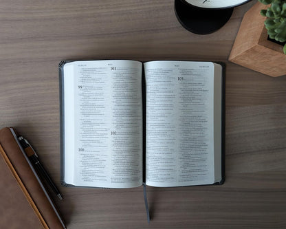 Biblia | NTV | Filament | SentiPiel gris
